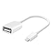 PinPle 8-pin Lightning to USB 2.0 Female OTG Cable Connector Adapter for iPad 4 & iPad Mini (OTG Cable For iPad 4 and iPad Mini)