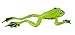 Safari Ltd  Incredible Creatures Flying Tree Frog