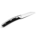 DESLON Chef Knife High Carbon German Stainless Steel Sharp with Ergonomic Handle (Fruit Knife-B-7.1inch)