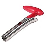Apple Corer, Newness Premium Apple Corer Remover, Stainless Steel Apple or Pear Core Remover Tool for Home & Kitchen with Sharp Serrated Blade