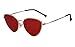 BEISON Womens Cat Eye Mod Metal Glasses Fashion Sunglasses (Gold/Red lens, 55)