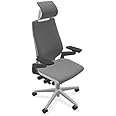 Steelcase Gesture Office Desk Task Chair with Headrest Cogent Connect Graphite Fabric Platinum Light Frame (Light/Light)