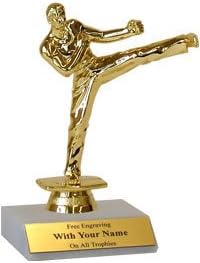 Karate Trophy - 6" Basic