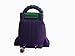 15-Foot Purple Marble Inflatable Water Slide, Wet or Dry, Commercial Grade, 1.5 HP Blower and Stakes Included