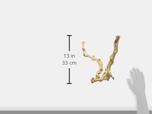 Zoo Med Sandblasted Grapevine, Medium, 12-Inch