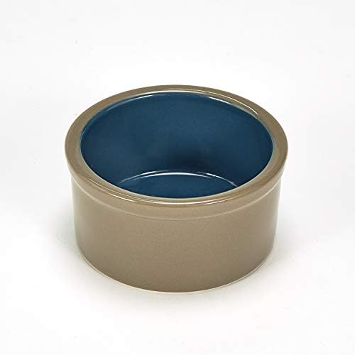 Kaytee Stoneware Cavy Bowl, 4-Inch