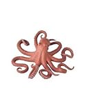 7 Inch Pacific Octopus
