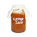 Organic Jun Scoby Starter Kit Featuring Strong Starter Tea and Extra Large Scoby to Ferment Green Tea and Honey at Home