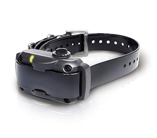 Dogtra YS600 Rechargeable Waterproof High-Output No Bark Collar