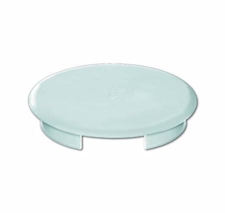 Busch-Jaeger 8229/3 Blinddeckel