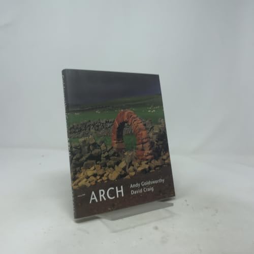 Stone: Goldsworthy, Andy: 9780810938472: Amazon.com: Books