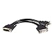 StarTech.com DMS 59 to Dual DVI I - 8in - DMS 59 to 2x DVI - Y Cable - DVI Splitter Cable - Monitor Splitter Cable - DMS 59 Cable (DMSDVIDVI1),Black