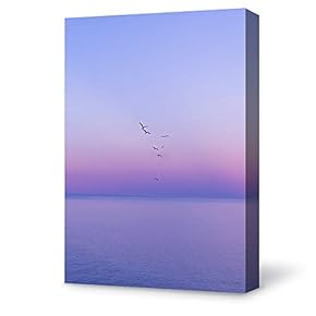 SIGNFORD Canvas Wall Art for Living Room,Bedroom Home...