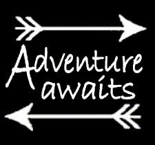 Adventure awaits wanderlust white decal vinyl sticker|cars trucks…