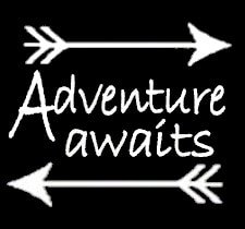 Adventure Awaits Wanderlust White Decal Vinyl Sticker|Cars Trucks Vans Walls Laptop| White |5.5 x 4 in|LLI477