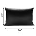 100% Pure Natural Mulberry Silk Pillowcase for Hair and Skin-Hidden Zipper Included-Standard20''x26''Black