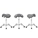 Antlu Saddle Stool Rolling Chair for Office Massage Salon Kitchen Spa Drafting,Adjustable Hydraulic with Wheels (Gray)
