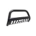 WESTIN Automotive Products 31-5495 Black E-Series Bull Bar