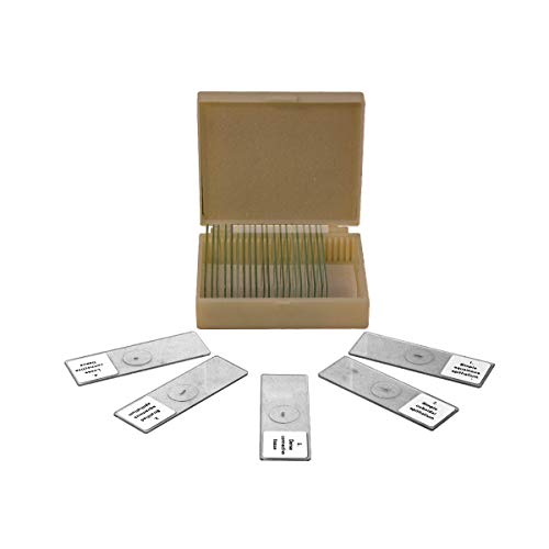 image for BoliOptics 25 Prepared Microscope Slides Human Biology Specimen Set Hu