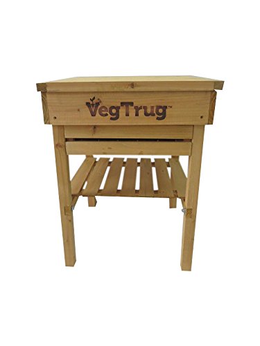 VegTrug Mesa de instalación de Mesa Cultivo niños con ...