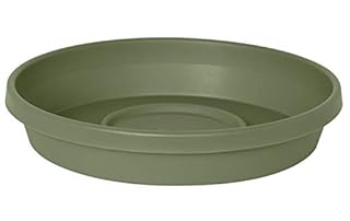 UPC 087404514067 product image for Bloem Terra Plant Saucer Tray 6