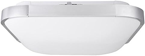 Triprel Inc Elegent 15" Dimmable Flush Mount LED Ceiling Light Square 36W w/ Remote