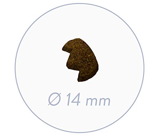 Sanabelle Dental | Droogvoer voor volwassen katten voor gebitsreiniging en gebitsverzorging | 1 x 10 kg - Afbeelding 4