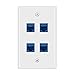 DBillionDa 4 Port Cat6 Wall Plate, Female-Female Ethernet Wall Plate 4 Port-Blue primary