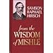 From the Wisdom of Mishle 0873066707 Book Cover