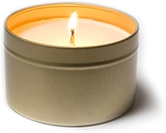 MAGICAL FOREST 6 oz Soy Wax Candle by Wooly Beast