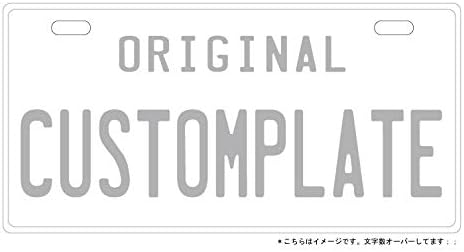 Amazon Co Jp アメリカン 雑貨 看板 表札 名入れ オリジナル Usナンバープレート タイプ 11色 白プレート ｼﾙﾊﾞｰ文字 Diy 工具 ガーデン