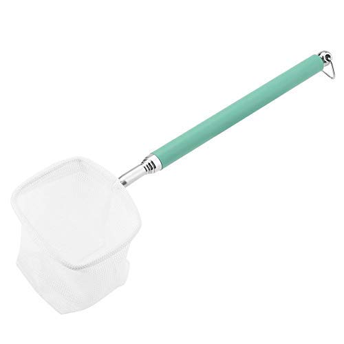 Pssopp Telescopic Aquarium Fish Net for Small Tanks and Ponds - Long Handle Shrimp Skimming Net Square Green