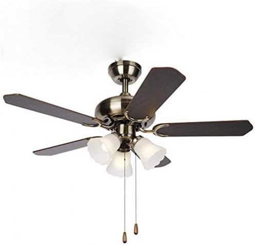 Spray Paint Ceiling Fan