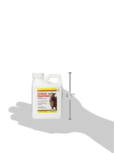 ivermectin sheep drench for dogs