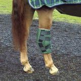 Cashel Boomers Hock Socks