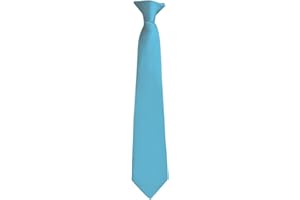 Moda Di Raza Pretied Banded Clip On Ties for Men and Young Men, Made of Woven Microfiber Fabric, Tie Clip for Kid and Adult