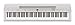 Yamaha P255 88-Key Professional Weighted Action Digital Piano with Sustain Pedal, White