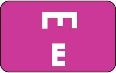 AMZfiling Alphabetic Color Code Labels, Compatible with Smead ACCS- Letter E, Purple (100/Package)