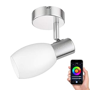 ledscom.de Plafondlamp LUPI, enkele vlam, incl. Smart Home RGBW E14 LED lamp, 5.6W=46W, 560lm