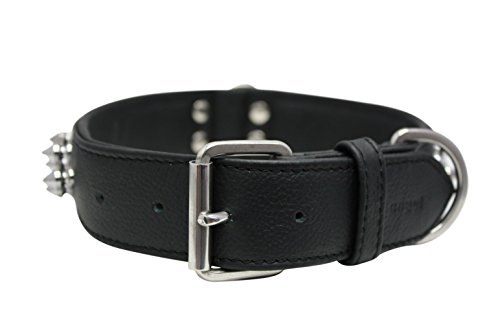 Spiked Studded Leather Dog Collar, Wide, Padded, Double-Ply, 22" x 1.5", Black, Leather (Amsterdam) Boxer, Retriever, Pit bull Terrier