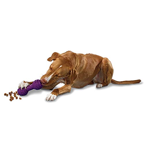 PetSafe Busy Buddy Chuckle Sound Dog Chew Toy - Treat Dispenser