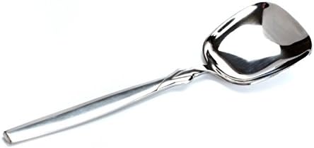 Besli Large Stainless Steel Serving Spoon, 9.8 Inch Long,Mirror Finish for Elegant Buffet Banquet Party Holiday Dinner serving! (Set of 12)