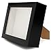 RESTCLOUD Insect Display case, Bug Display Shadow Box 8