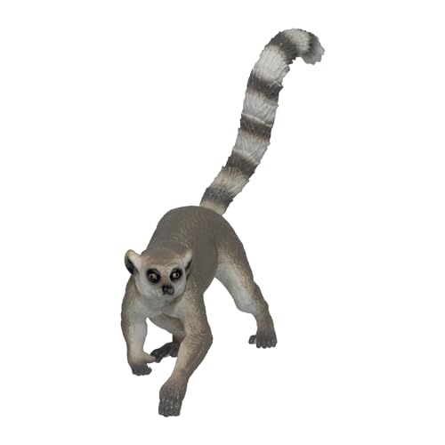 Ring-tailed Lemur