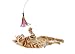 Long Lasting Premium Replacement Refill Feathers (Bulk Packs) for Da Bird GoCat Toy Teaser Interactive Play for Cats and Kittens All Natural Genuine Guinea Feathers (Cat Toy Dangler)