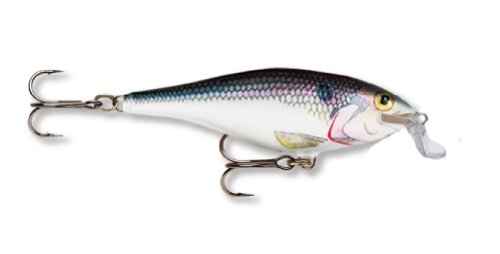 Rapala Shallow Shad Rap 07 Fishing lure (Shad, Size- 2.75)