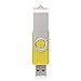 RAOYI 10PCS 2GB USB 2.0 Flash Drive Yellow -Bulk Pack-Pen Drive Thumb Drive Metal Memory Stick Swivel Design