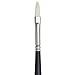 Winsor & Newton Artists' Oil Hog Paint Brush, Long Handle Size 2, Filbert