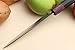 Yoshihiro 46 Layers VG-10 Hammered Damascus Petty Japanese Utility Knife Rosewood Handle (6