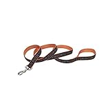 HARLEY-DAVIDSON 1 in. Designer Ribbon Premium Dog Leash - 6 ft. Black & Orange